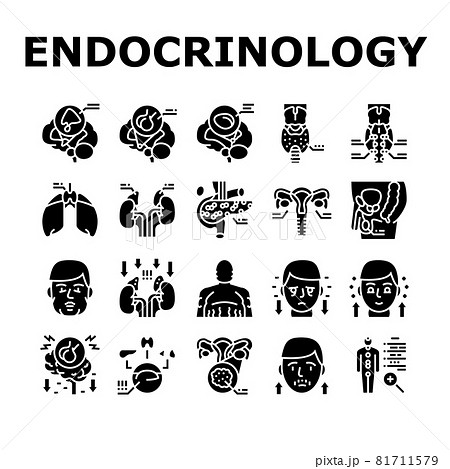 Endocrinology Medical Disease Icons Set Vector Endocrinology Medical Disease Icons Set Vector 81711579