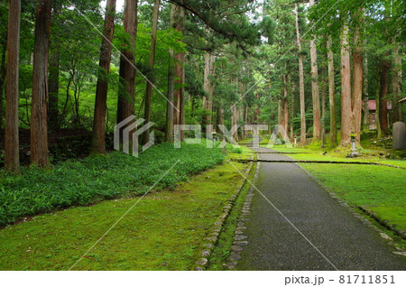 白山平泉寺 参道 白山平泉寺 参道 81711851
