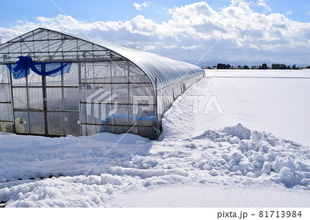 ビニールハウス 雪景色 ビニールハウス 雪景色 81713984