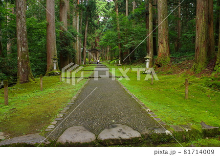 白山平泉寺　参道 81714009