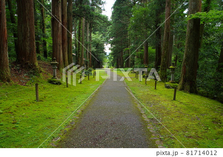 白山平泉寺 参道 白山平泉寺 参道 81714012