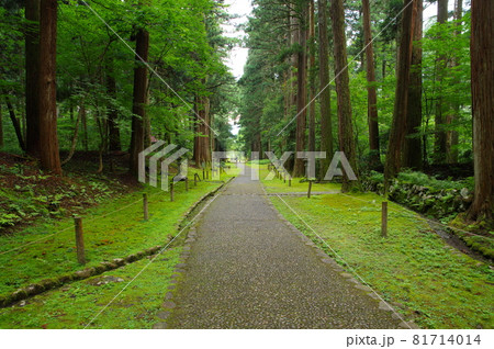 白山平泉寺　参道 81714014