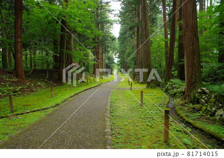 白山平泉寺 参道 白山平泉寺 参道 81714015