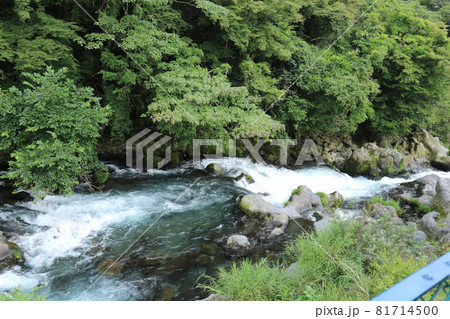 静岡 白糸の滝にて_4 静岡 白糸の滝にて_4 81714500