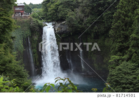 静岡 白糸の滝にて_5 静岡 白糸の滝にて_5 81714501