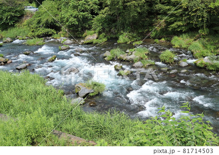 静岡 白糸の滝にて_7 静岡 白糸の滝にて_7 81714503