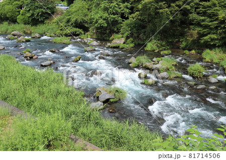 静岡 白糸の滝にて_10 静岡 白糸の滝にて_10 81714506