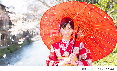 着物を着て花見をする女性 着物を着て花見をする女性 81714508
