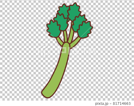 celery celery 81714663