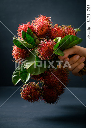Ripe rambutan fruit holding by hand, Still Life Ripe rambutan fruit holding by hand, Still Life 81714763