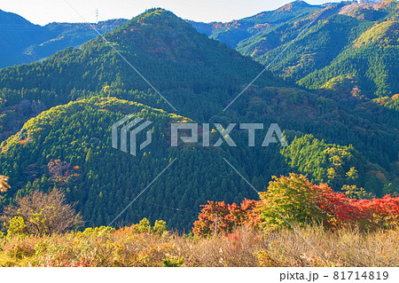 城峯公園付近からの山景色　秋の風景　紅葉の季節　　 81714819