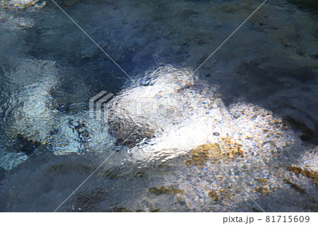 黒岳原生林の男池湧水 81715609