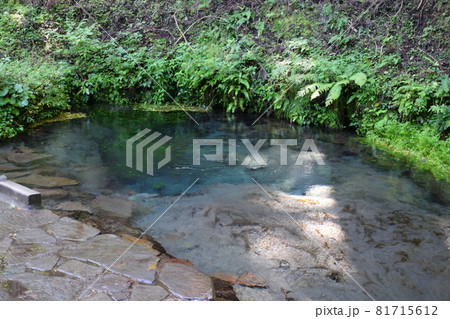 黒岳原生林の男池湧水 81715612
