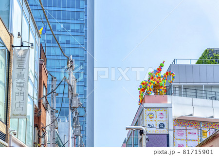 東京渋谷の都市風景 原宿・竹下通り 東京渋谷の都市風景 原宿・竹下通り 81715901