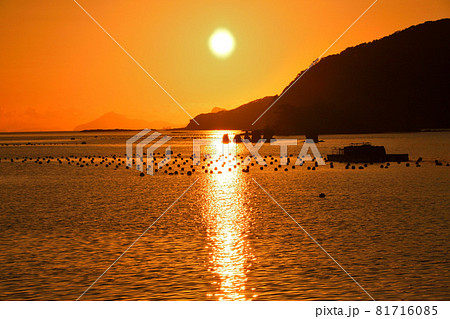 九十九島の夕景 九十九島の夕景 81716085