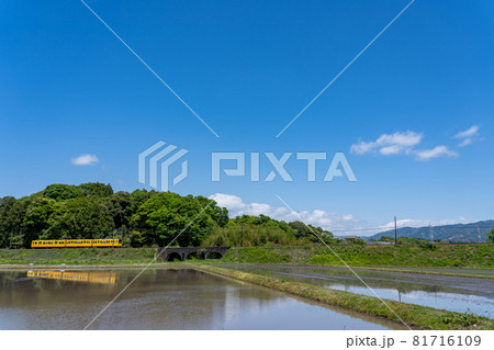 三重県いなべ市のめがね橋を通り過ぎる三岐鉄道北勢線の黄色い軽便鉄道 81716109