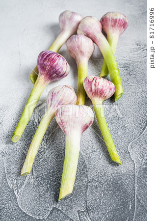 Fresh Spring young garlic bulbs on kitchen table. White background. Top view Fresh Spring young garlic bulbs on kitchen table. White background. Top view 81716996