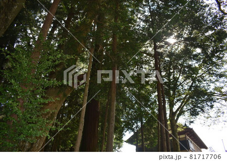 群馬 中之条 道の駅 霊山たけやま 親都神社 周辺風景 群馬 中之条 道の駅 霊山たけやま 親都神社 周辺風景 81717706