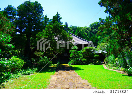 鎌倉五山第三位の古刹、寿福寺の仏殿 81718324