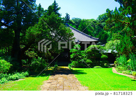 鎌倉五山第三位の古刹、寿福寺の仏殿 鎌倉五山第三位の古刹、寿福寺の仏殿 81718325