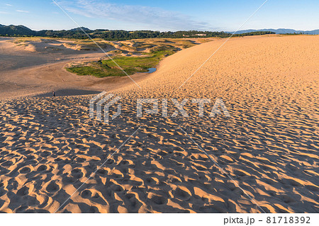 《鳥取県》鳥取砂丘の夜明け 81718392