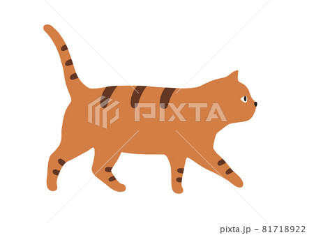 歩く猫のイラスト トラ猫のイラスト素材