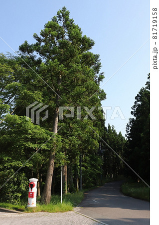 新潟　佐渡　丸ポストのある風景（トキポスト） 81719158