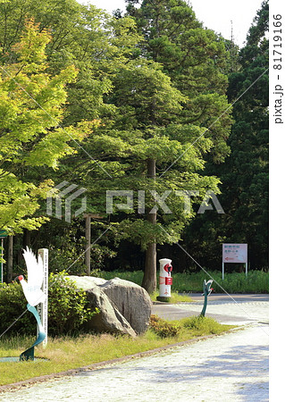 新潟　佐渡　丸ポストのある風景（トキポスト） 81719166