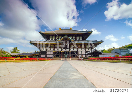 Todaiji Temple in Nara, Japan 81720275