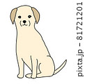 おすわりするイエローのラブラドールレトリバーのイラスト 81721201