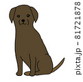 おすわりするチョコレートラブラドールのイラスト 81721878