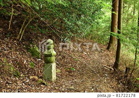 高野山町石道の二十一町石 【和歌山県伊都郡高野町】 高野山町石道の二十一町石 【和歌山県伊都郡高野町】 81722178