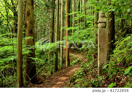 高野山町石道 四十五町石 【和歌山県伊都郡高野町】 高野山町石道 四十五町石 【和歌山県伊都郡高野町】 81722656