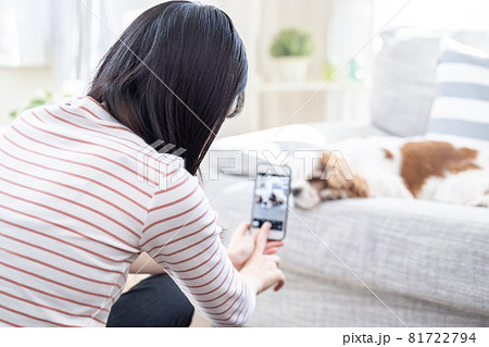 スマホで犬の写真を撮る女性 スマホで犬の写真を撮る女性 81722794