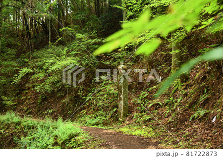 高野山町石道の四十二町石　【和歌山県伊都郡高野町】 81722873