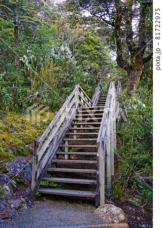 ニュージーランド デビルズ・パンチボウル滝 ニュージーランド デビルズ・パンチボウル滝 81722975