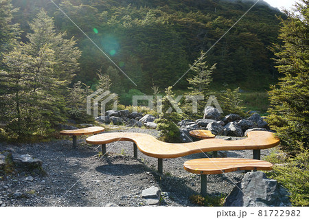 ニュージーランド デビルズ・パンチボウル滝 ニュージーランド デビルズ・パンチボウル滝 81722982