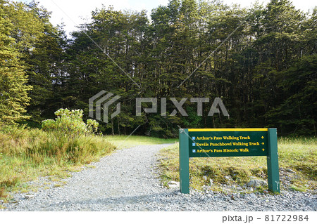 ニュージーランド　デビルズ・パンチボウル滝 81722984