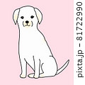 おすわりする白いラブラドールレトリバーのイラスト 81722990