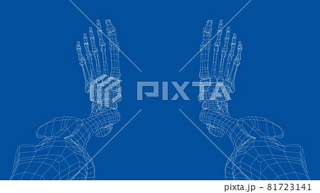 Human skeleton. Vector 81723141