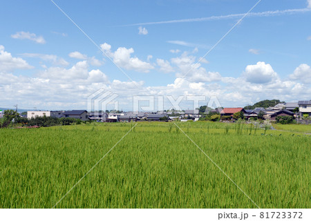 長岳寺 参道からの風景 奈良県天理市 長岳寺 参道からの風景 奈良県天理市 81723372