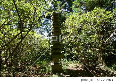 長岳寺 十三重塔 奈良県天理市 長岳寺 十三重塔 奈良県天理市 81723463