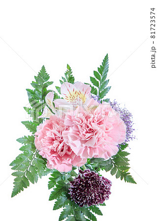 花束　カーネーション　花　贈り物　お礼　多年草 81723574