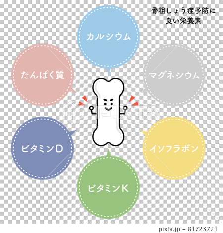 骨を強くする栄養素(日本語ver.) 骨を強くする栄養素(日本語ver.) 81723721
