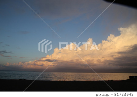 保田海岸を歩いた 81723945