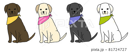 バンダナをつけた、おすわりをする4色のラブラドールレトリバーのイラスト 81724727
