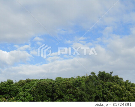 三陽メデアフラワーミュウジアムの青空と白い雲 81724891
