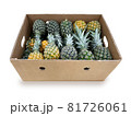 配送用段ボールに箱詰めされた名産品パイナップルの画像 81726061