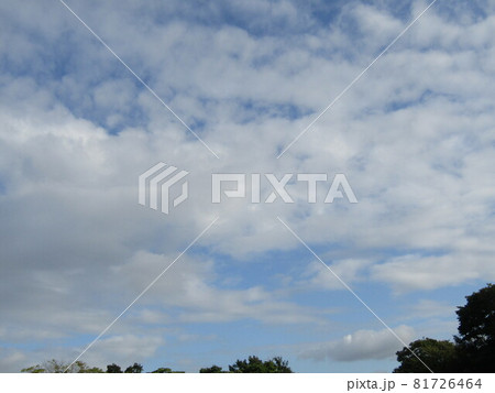 三陽メデアフラワーミュウジアムで撮った青空と白い雲 三陽メデアフラワーミュウジアムで撮った青空と白い雲 81726464