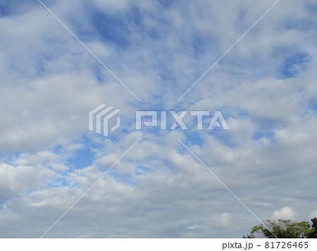 三陽メデアフラワーミュウジアムで撮った青空と白い雲 81726465